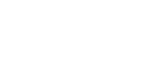 perl Services